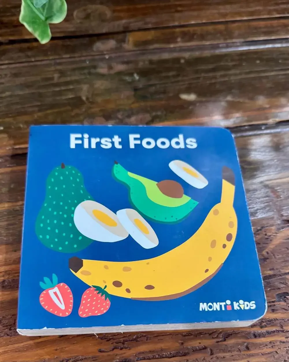 Monti Kids First Foods Board Book for Toddlers